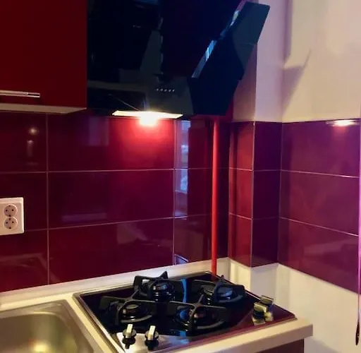 Apartment Joy Martirilor Giroc 4 *