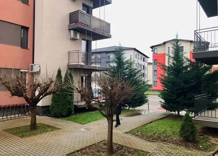 Joy Martirilor Giroc 4 Timişoara