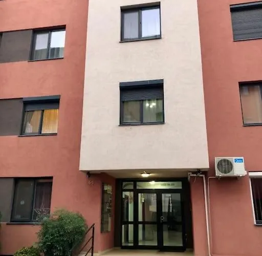 Joy Martirilor Giroc 4 *