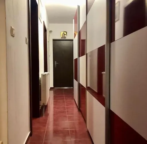 Apartment Joy Martirilor Giroc 4 *