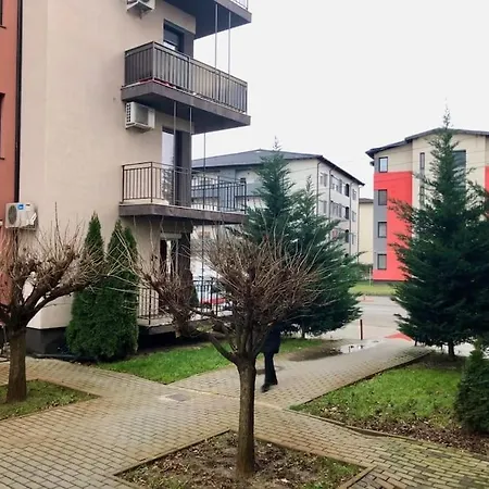 Joy Martirilor Giroc 4 Timisoara